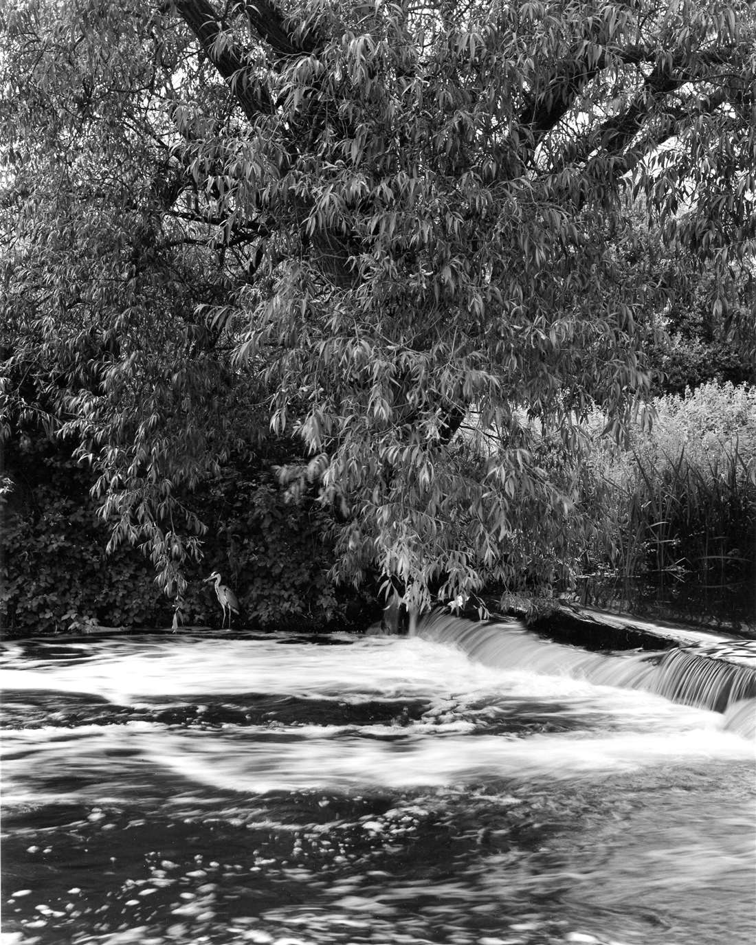 The River Gade weir at Cassiobury Park, Watford